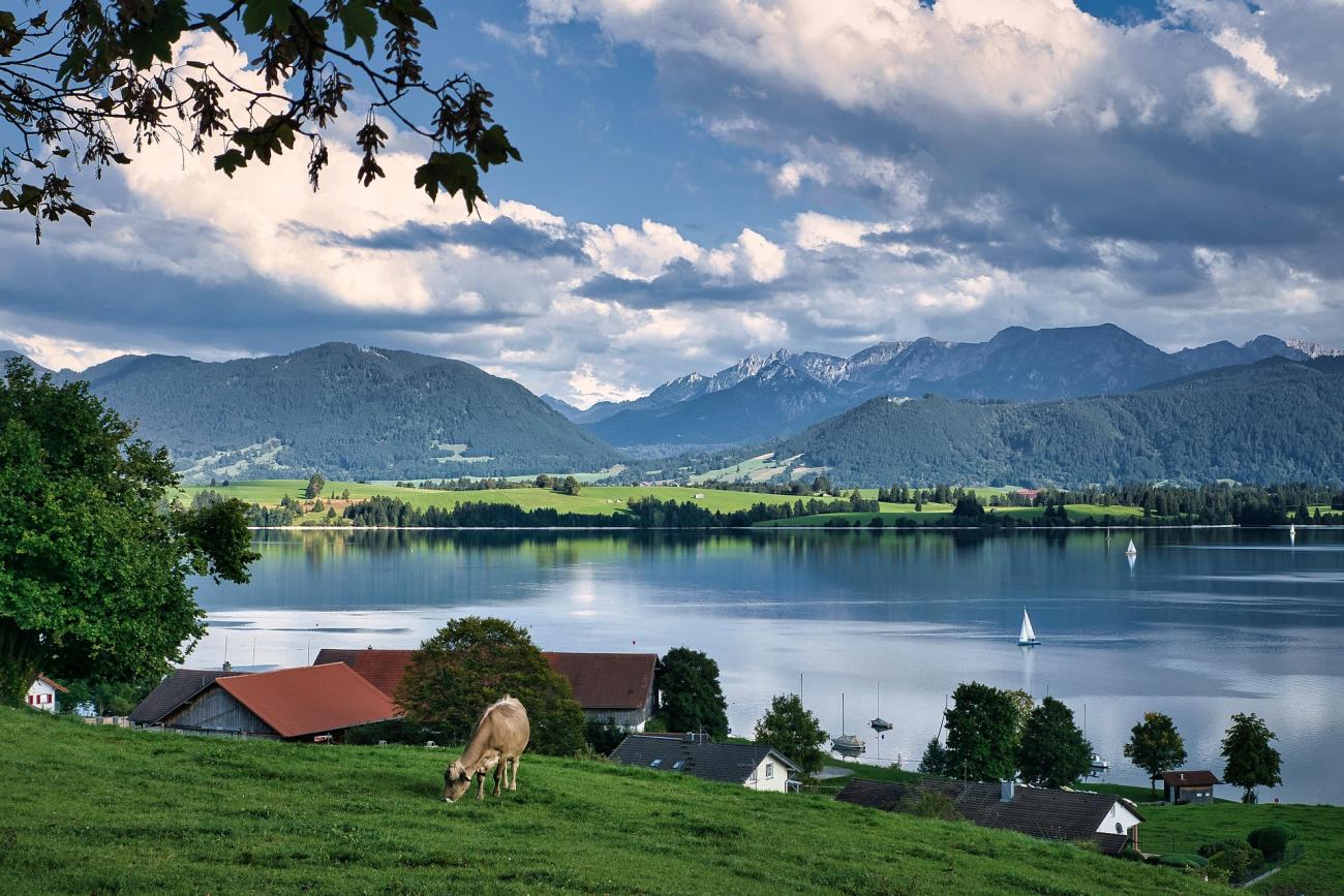 Eine Schifffahrt auf dem Forggensee: Königliche Aussichten, ganz ohne Latschen