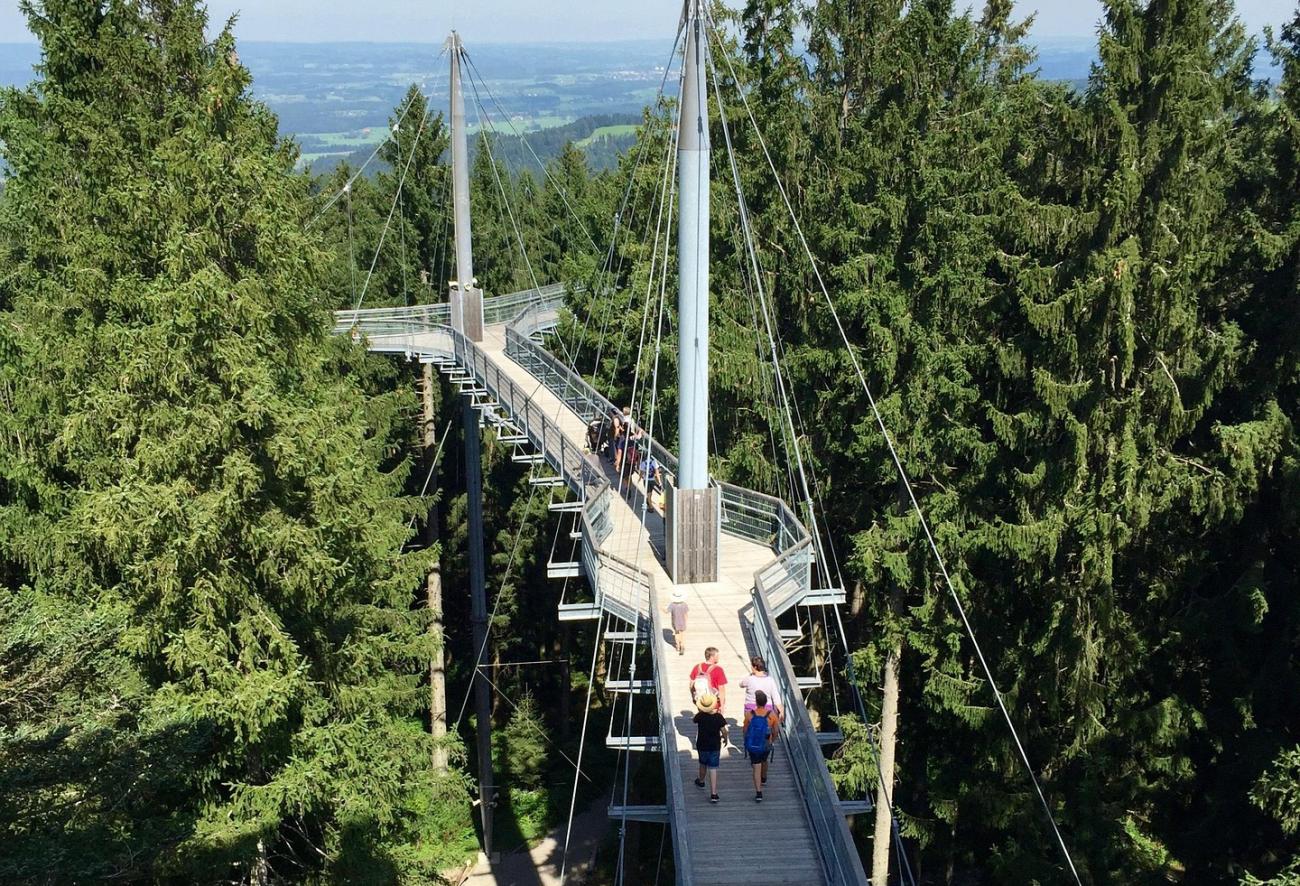 Scheidegg: Wasserfälle, Skywalk und der beste Blick zum Bodensee
