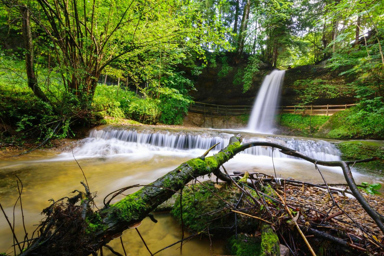 Hautnah an den Scheidegger Wasserfällen: Eines der schönsten Geotope Bayerns