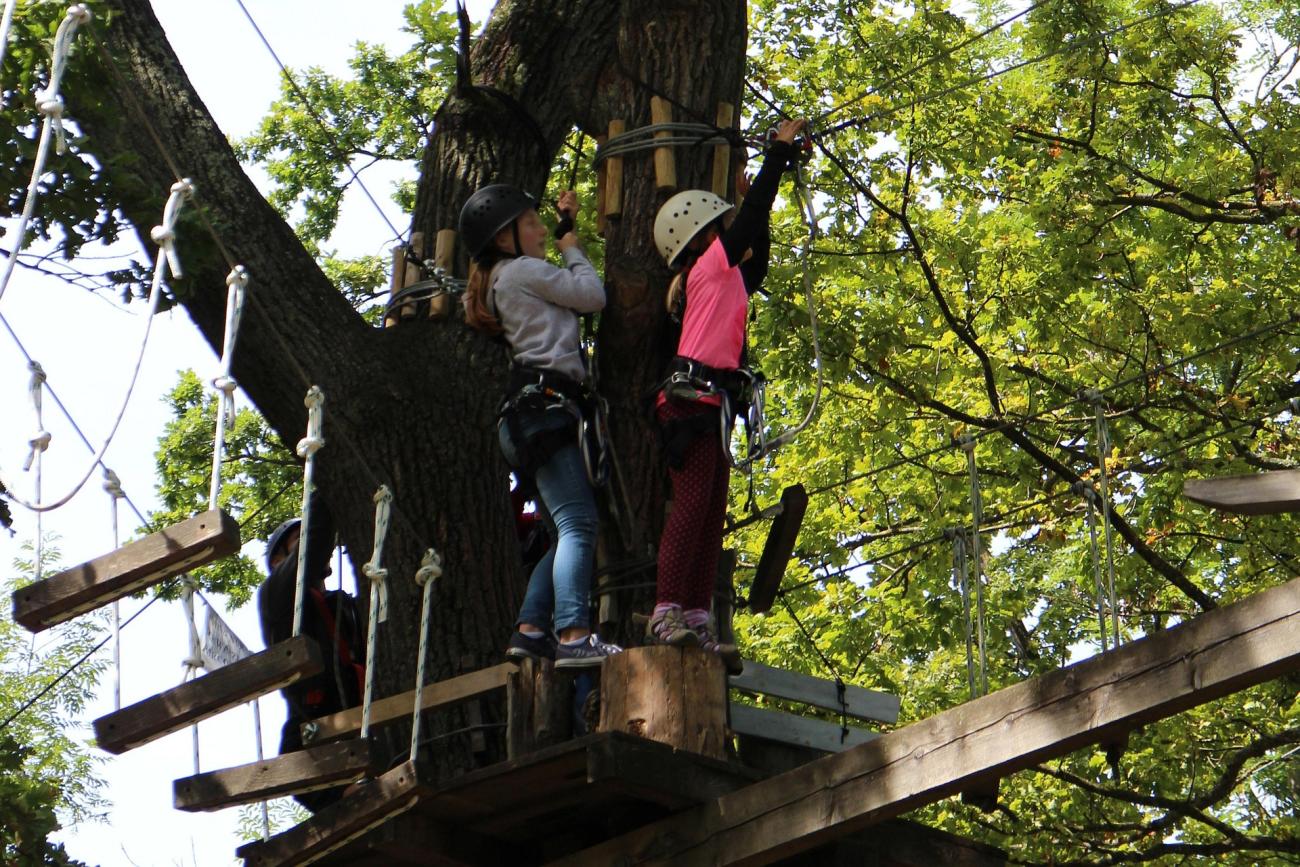 Kletterwald Bärenfalle: Tarzan spielen im größten Waldspielplatz Bayerns