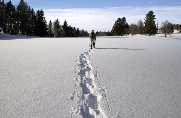 Lautlose Spuren im Schnee: Schneeschuhwandern im Gunzesrieder Tal
