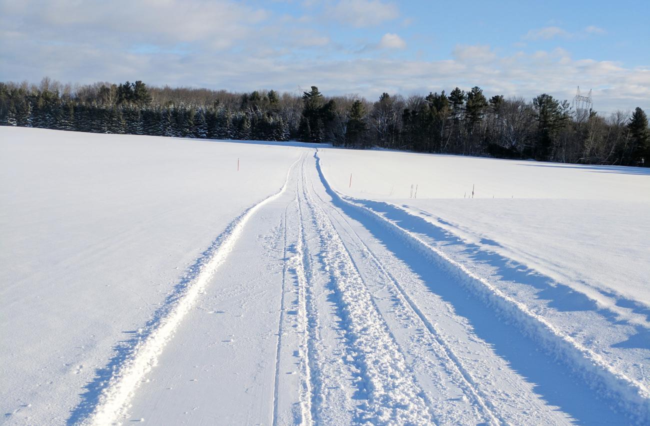 Rodelspaß Deluxe: Die längsten Abfahrten am Mittagberg und Imberg