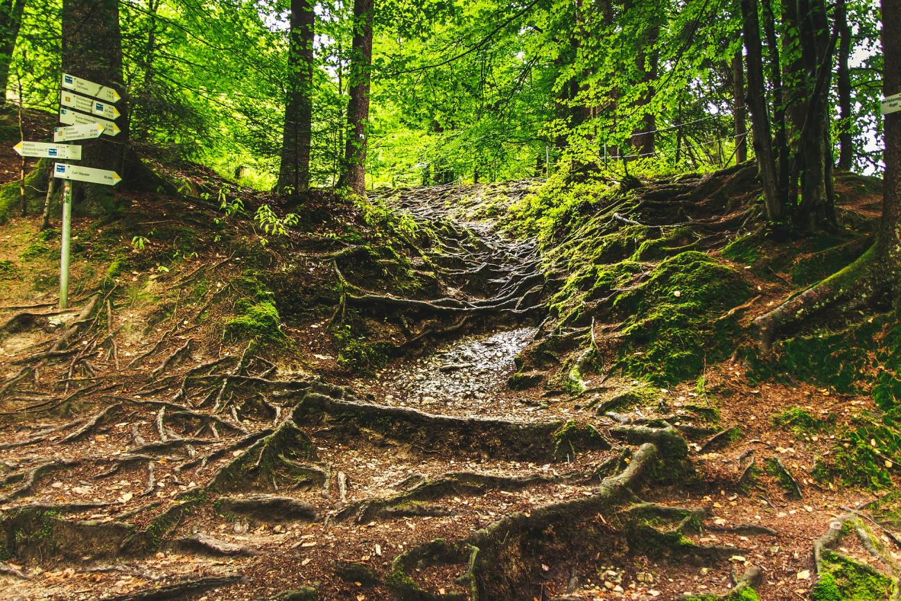 Eistobel: Nasse und rutschige, aber lohnenswerte Wanderung durch die wilde Schlucht