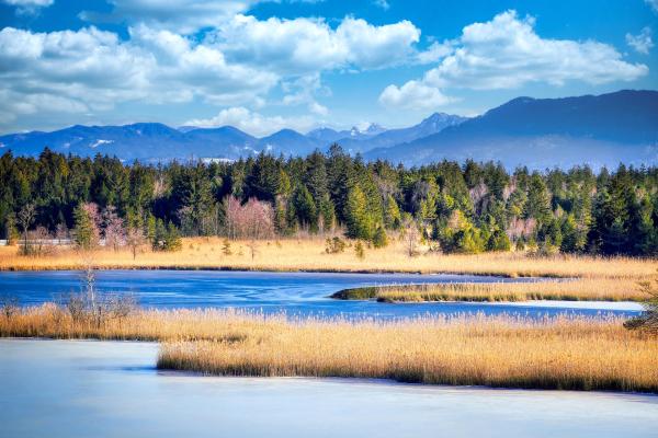 Die Osterseen: Ein verzweigtes Netz aus Seen, Mooren und jede Menge Stille