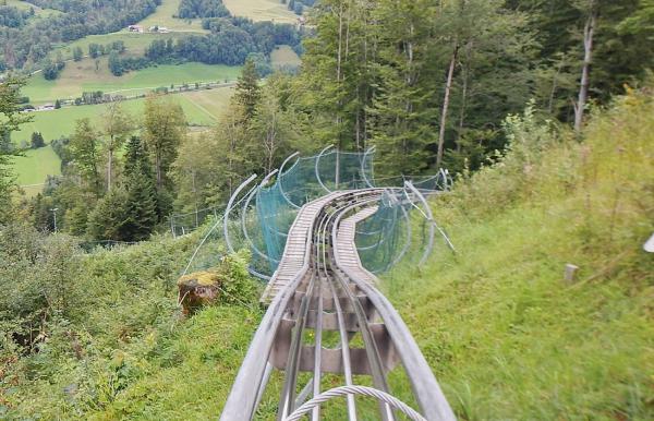 Alpsee Coaster: Drei Kilometer Adrenalin pur durch die atemberaubende Allgäuer Natur