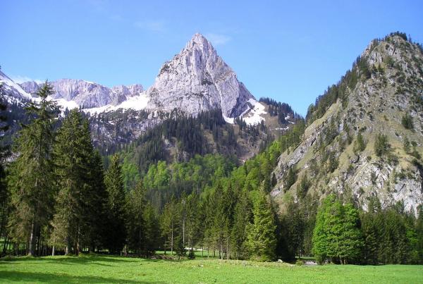 Die stillen Täler der Ammergauer Alpen: Raus aus dem Trubel, rein in die Wälder!